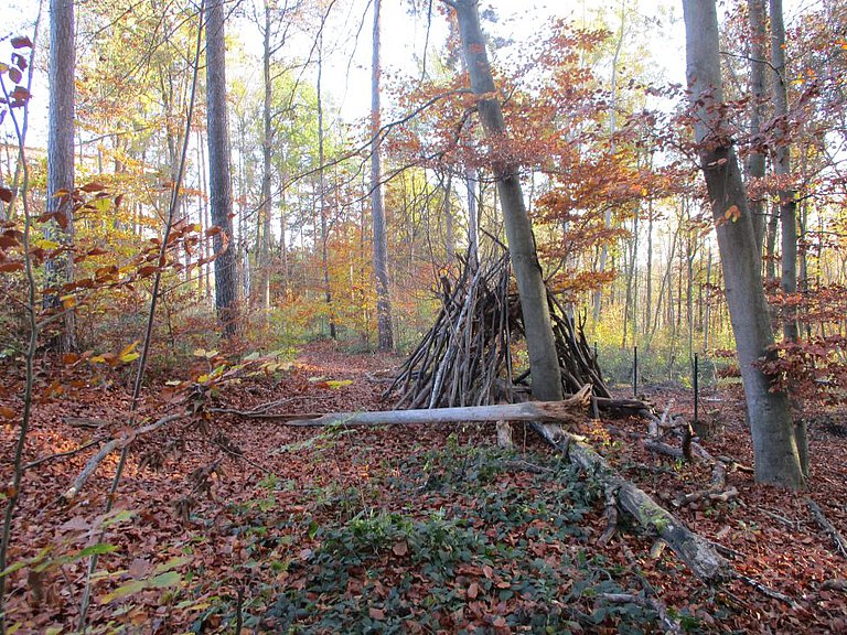 Herbstwald mit selbstgebautem Tipi aus Ästen Waldstück im Herbst. Auf dem Boden liegen viele braune und rote Blätter. In der Mitte steht ein selbstgebautes Tipi aus langen Ästen und Zweigen. Rundherum sind große Bäume mit bunten Blättern in Gelb, Orange und Rot. Das Licht fällt durch die Bäume